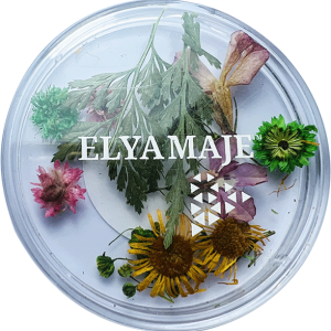 Flower 01 - Elya Maje