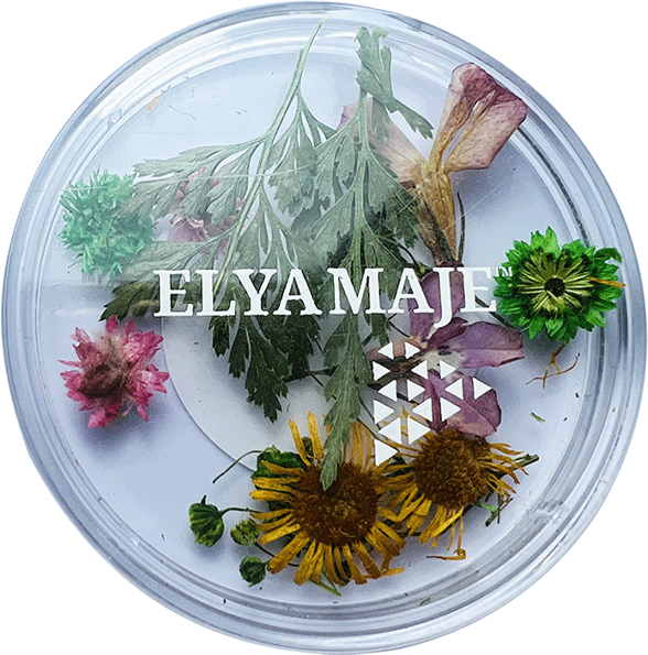 Déco Flower 01 Flower Elya Maje