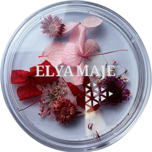 Flower 02 - Elya Maje