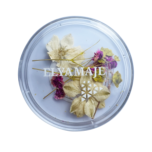 Flower 04 - Elya Maje