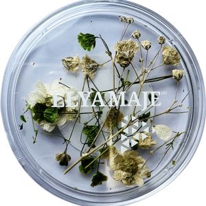 Flower 05 - Elya Maje