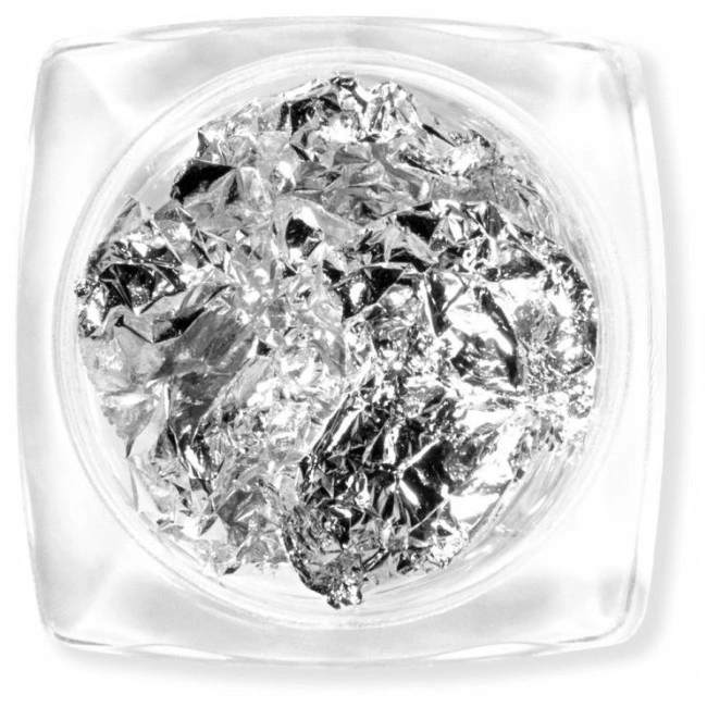 Feuille Argent 1