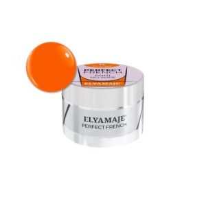 Perfect French Orange 14 Gel Paint 5g - Elyamaje