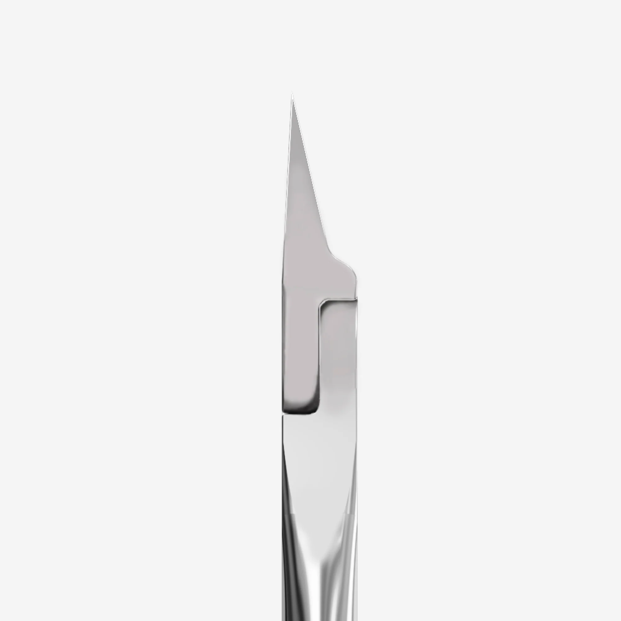 Pince Coupe Ongle Expert 61 NE-61-12 Staleks 1