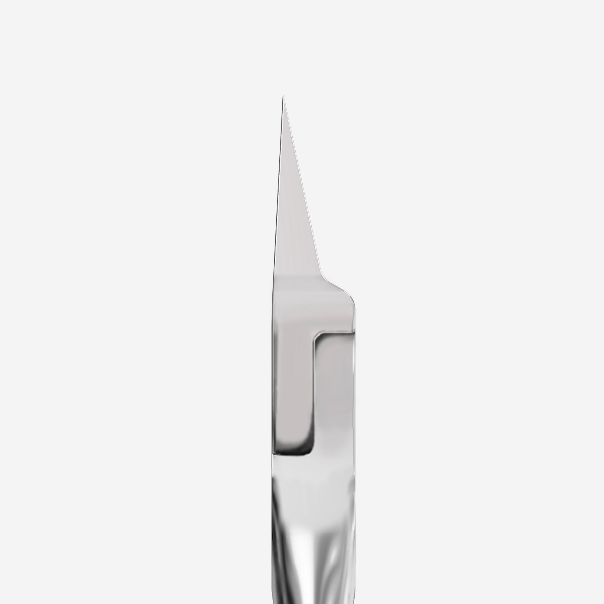 Pince Coupe Ongle Expert 61 NE-61-16 Staleks 1