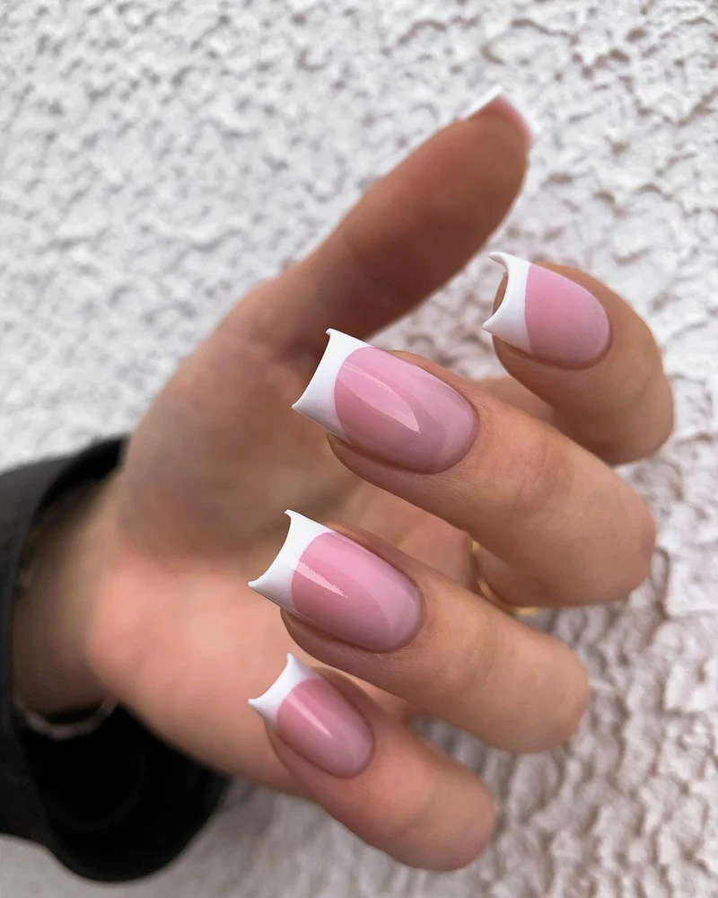 Rose Albi 2