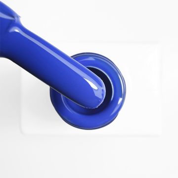 VSP Bleuet n°117 Elya Maje 2
