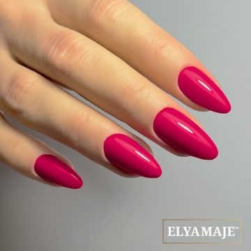 VSP Camélia n°196 Elya Maje 3