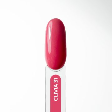 VSP Clivia n°31 Elya Maje 1