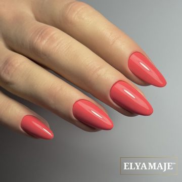 VSP Clivia n°31 Elya Maje 3