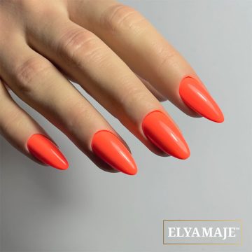 VSP Goyave n°165 Elya Maje 3