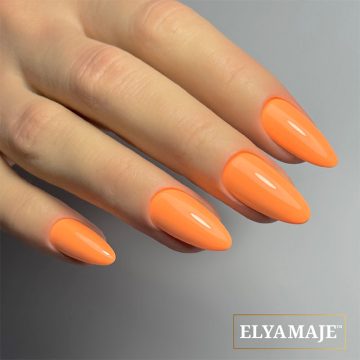 VSP n°24 Papaye Elya Maje 3