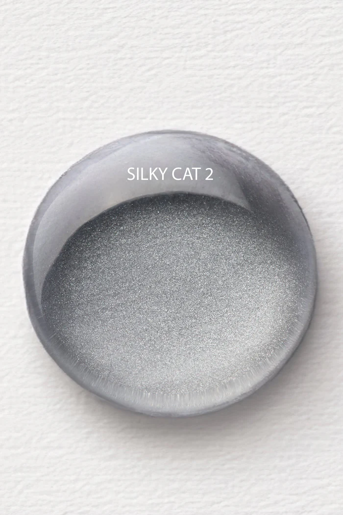 VSP silk cat 2 Albi 1