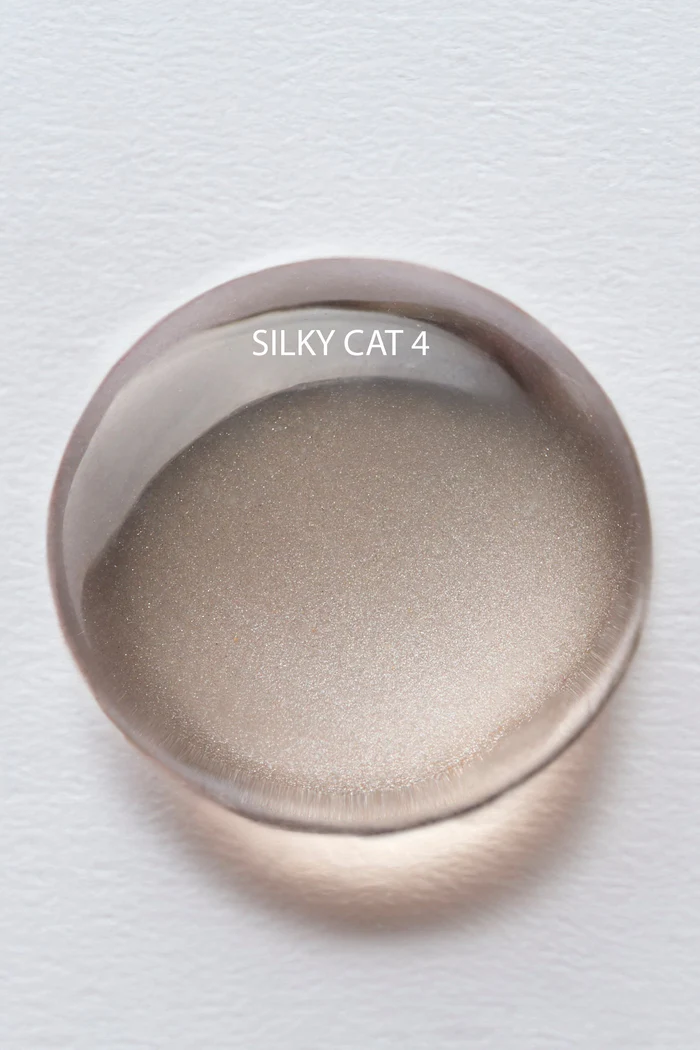 VSP silk cat 4 Albi 1