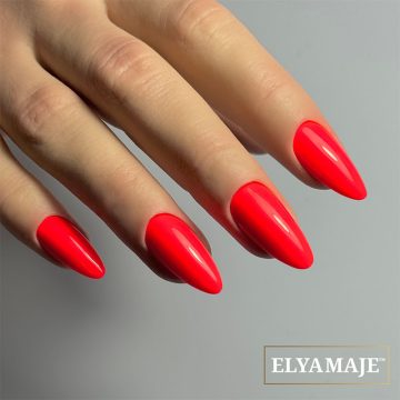 VSP tropicana n°240 Elya Maje 3