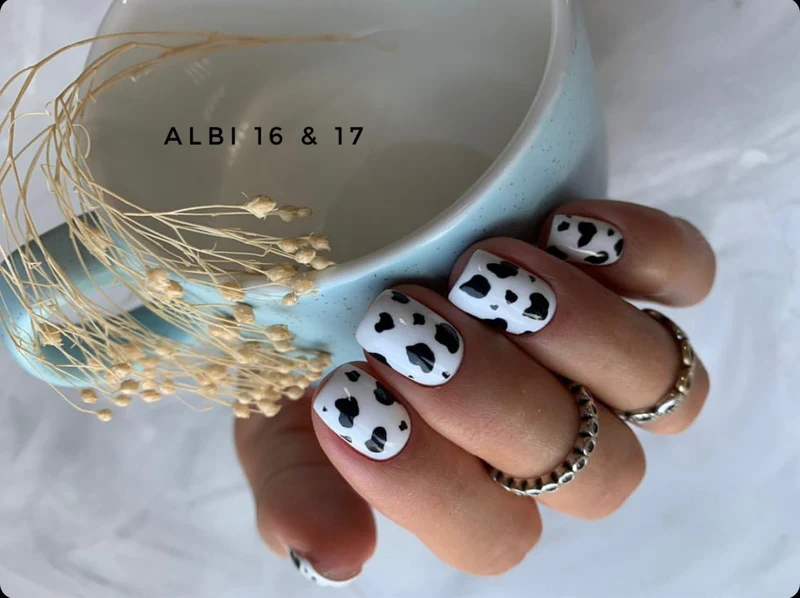 Vernis semi-permanent 16 Albi