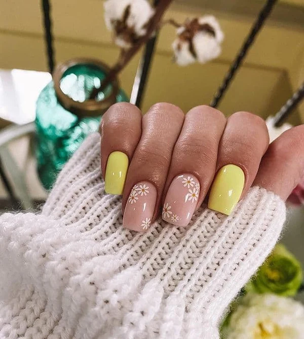 Vernis semi permanent Albi 55-2