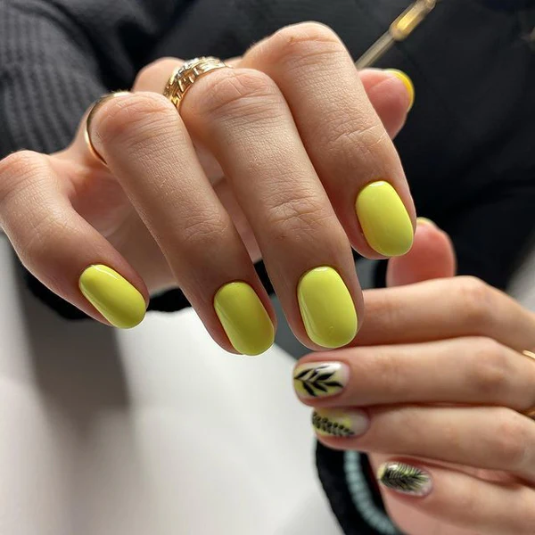 Vernis semi permanent Albi 55-4