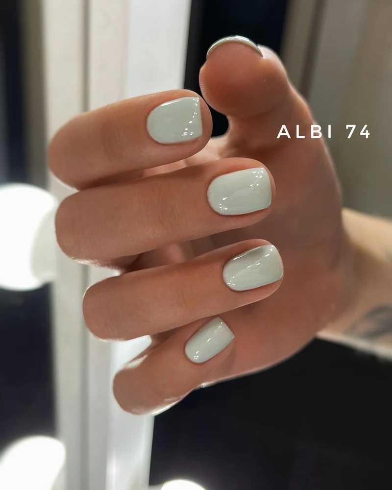 Vernis semi permanent Albi 74 1