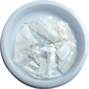 Coquillage 01 Nacre - Elya Maje