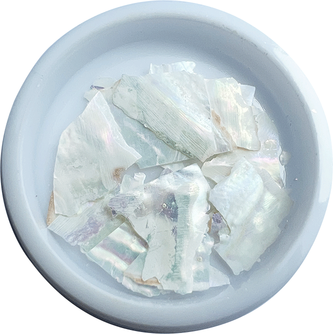 deco_EM_0016_Coquille1