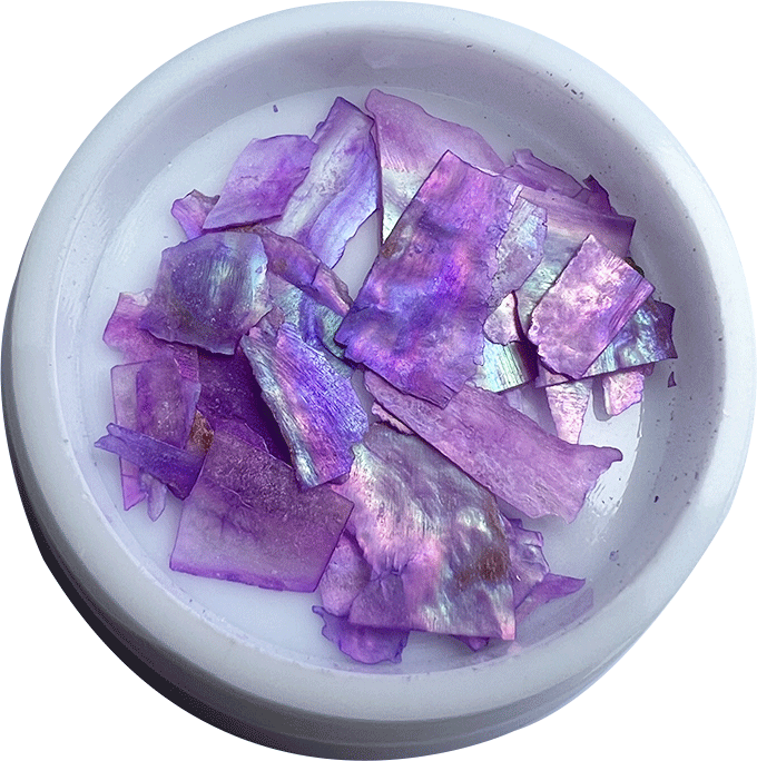 deco_EM_0019_Coquille4