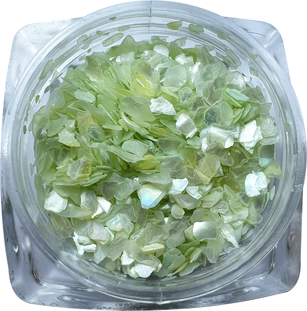deco_EM_0026_Coquille12
