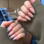 gel honey 1